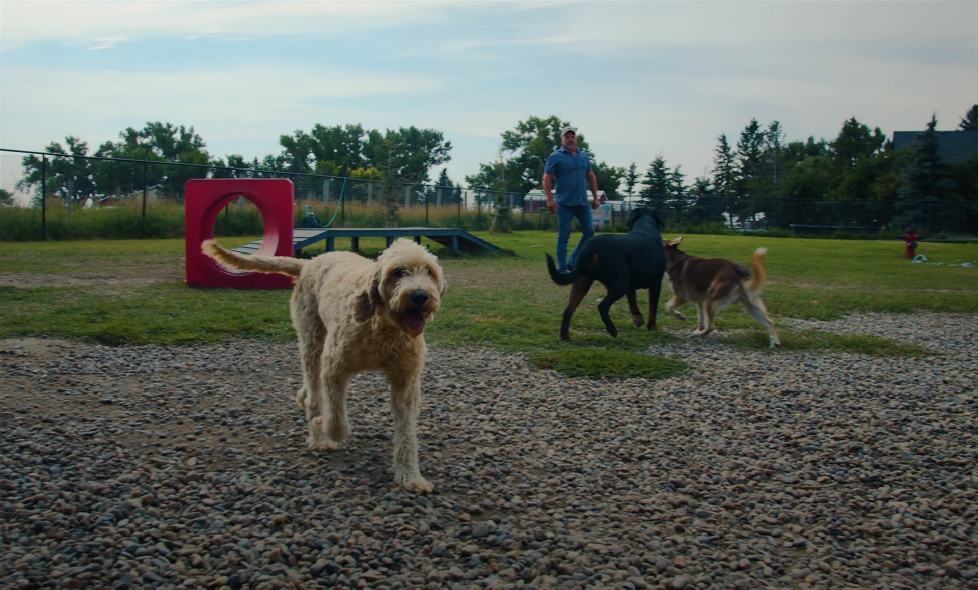 Community Futures - Hidden Spring Pet Resort